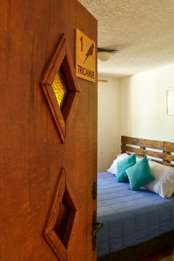 Hostal Aldea Colchagua Experience Санта-Крус Экстерьер фото